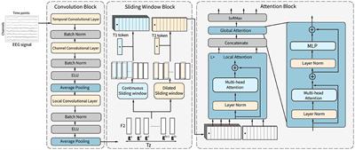 An improved model using convolutional sliding window-attention network for motor imagery EEG classification